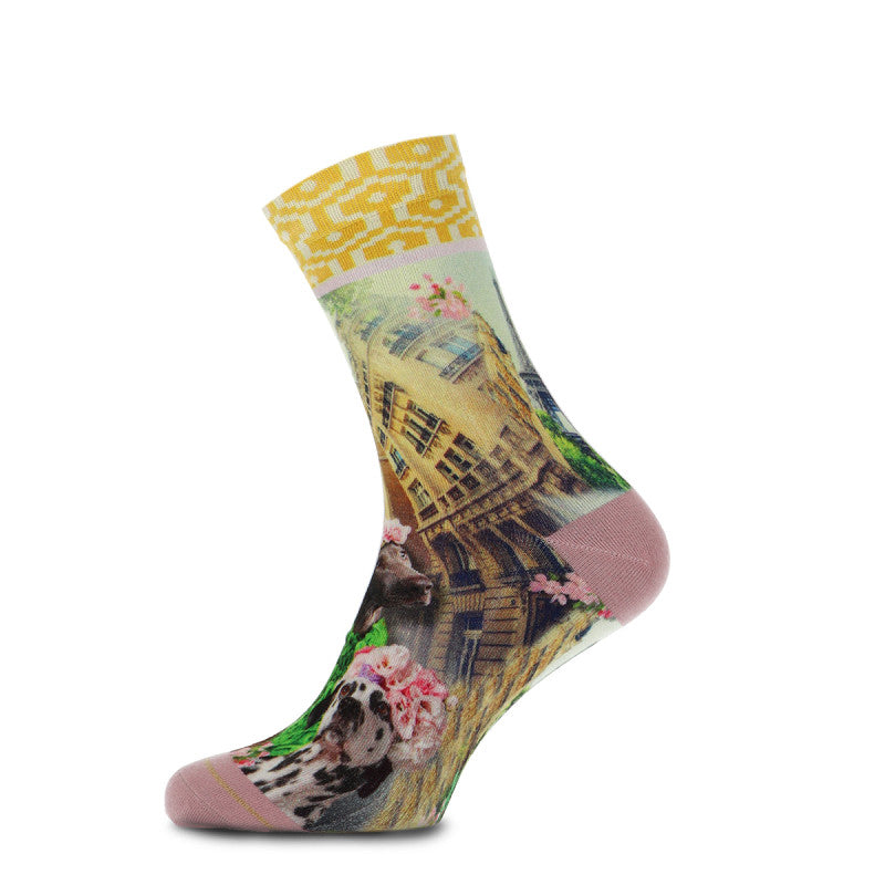 Shopping ladies socks