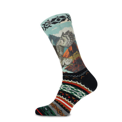 Chaussettes pour hommes de hibou