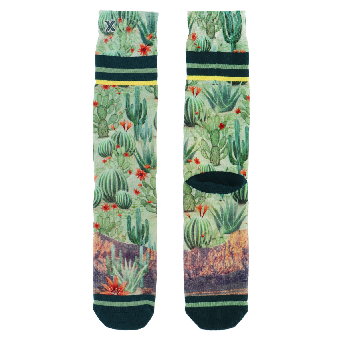 Xpooos & ADNF Cactus Bamboo Men's chaussettes pour hommes