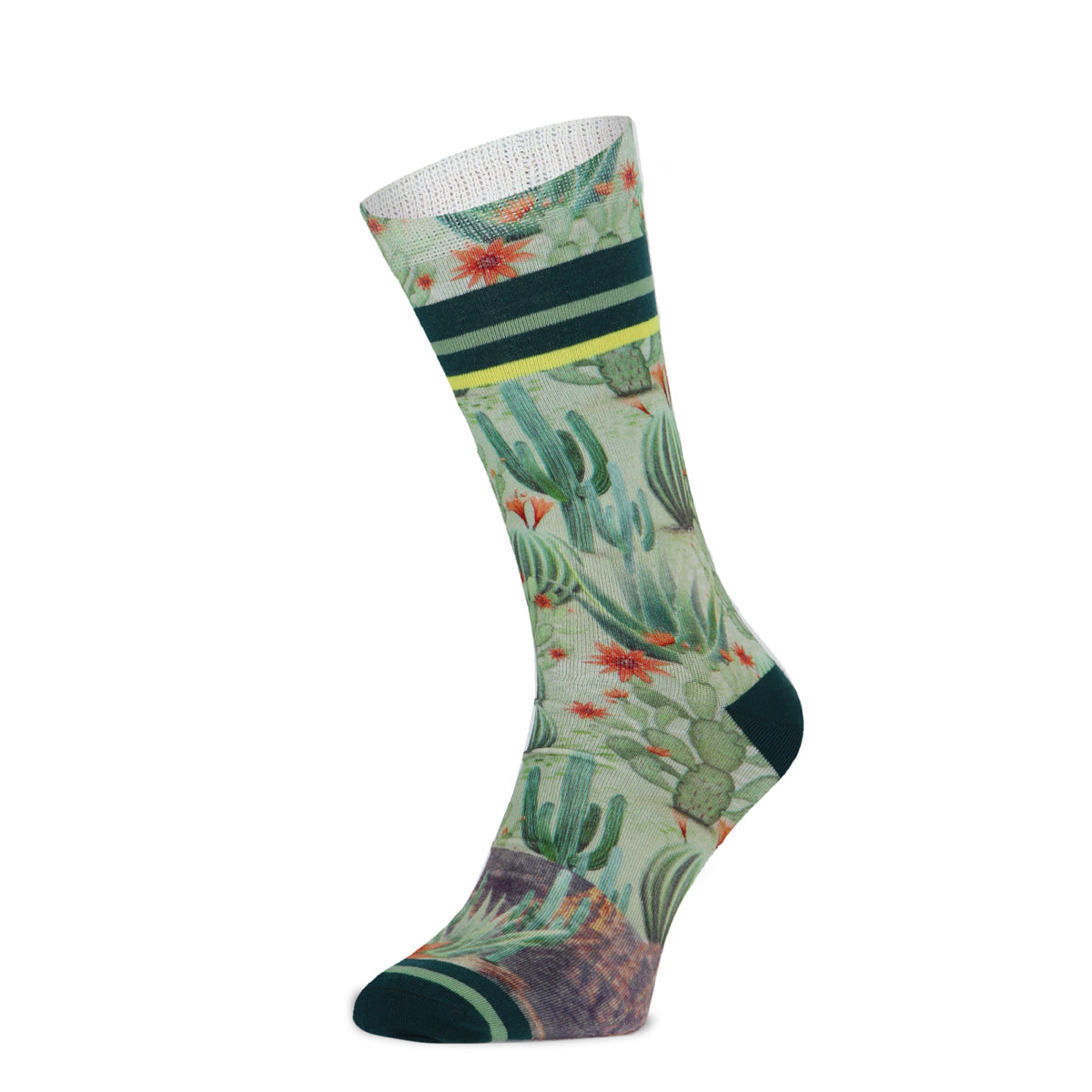 Xpooos & ADNF Cactus Bamboo Men's chaussettes pour hommes