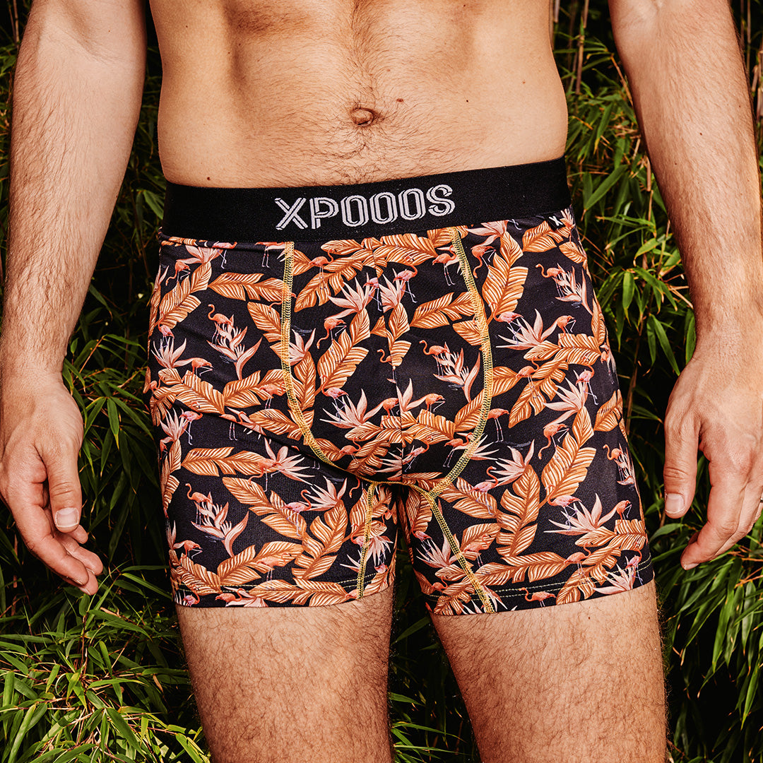 Flamingo: Boxer