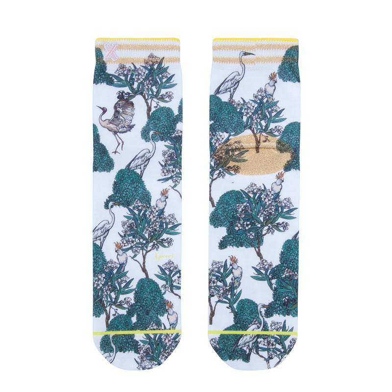 Nica: Shortsocks